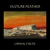 Vulture Feather - Liminal Fields (Limited Edition) (Bone Coloured) (LP)
