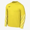 Nike M NK DF PARK V GK JSY LS