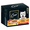 Cesar Selektion meso in zelenjava v želeju - 12 x 100 g
