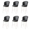 Hanah Home Set barskih stolica Uras, 6 komada, Antracit-beli