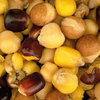 Nash Large Seed Mix 2,5l