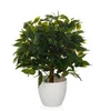 MID.YOU Umetna Rastlina Ficus I