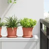 Okrugla saksija za cveće 24 pcs Crvena cigla O 15 x 12 cm