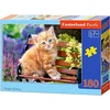 Castorland Puzzle Ginger Kitten 180 kosov