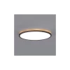 LED stropno svetlo za kupatilo NIVERA LED/18W/230V IP54 pr. 30 cm crna