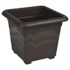 Plastkon Večpaketni paket 10 kosov Quattro lonec rjave barve 20 cm