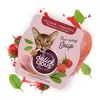 Delikcious PIŠČANČJA JUHA s paradižnikom in špinačo