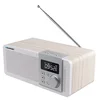 Blaupunkt PP14BT portabl audio