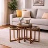 Hanah Home set od 3 umetnutih stočića Milas 3, orah