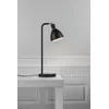RAY STOLNA LAMPA CRNA E14 IP20