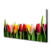 tulup.si Slika na platnu Rastlin tulipani 125x50 cm