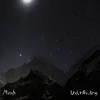 Mirah - Understanding (LP)