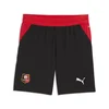 PUMA Stade Rennais 26/27 Shorts Youth, Age, Black/Red, 15-16Y