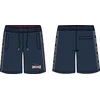 Moške kratke hlače Lonsdale regular fit
