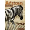 AFRICAN MUSICBOX AKKORDEON SOLO