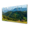 tulup.si Slika na akrilnem steklu Mount forest narava 120x60 cm 4 obešalnika