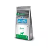 Vet Life Suva hrana za odrasle pse Renal, 2kg
