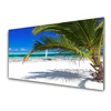 tulup.si Slika na akrilnem steklu Palm beach landscape 140x70 cm 2 obešalnika