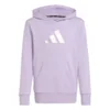 Adidas JG GLAM HD, dječiji pulover, ljubičasta JYD23