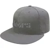 The Doors Logo Kapa Silver Grey UNI