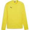 Mikica Puma teamGOAL Training weathirt
