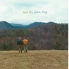 Will Fox - Which Way (LP)