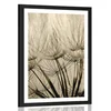Plakat s paspartujem semena regrata v sepia varianti - 30x45 silver
