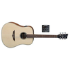 VGS ELEKTRO AKUSTIČNA kitara RT-10E ROOT NATURAL SATIN