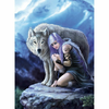 Puzzle Anne Stokes Protector