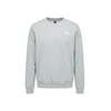 THE NORTH FACE Majica Evolution Simple Dome siva