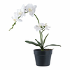 House Nordic  Umetna rastlina v loncu  Orchid