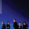 Brigitte Calls Me Baby - Irreversible (CD)
