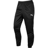 Hlače Puma teamRISE Poly Training Pants