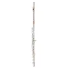 Flavta PS 905 BEF Sonare Powell