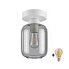BRILAGI - LED plafonsko svetlo R GLASS 1xE27/60W/230V prečnik 14 cm bela/dimno siva