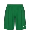 NIKE Športne hlače League Knit III zelena/bela