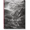 Sebastio Salgado Genesis