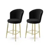 HANAH HOME Set 2 barske stolice Fora Black Gold