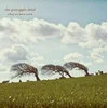 The Pineapple Thief What We Have Sown (2 LP) Prenovljeno