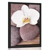 Plakat wellness kamni in orhideja na lesenem ozadju - 60x90 silver