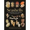 Seashells
