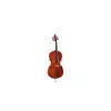 Soundsation VSCE-34 cello