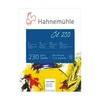 Oljni blok iz HAHNEMÜHLE 10 listov | različne dimenzije
