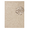 Svetlo rjava preproga 140x200 cm Wolly – BT Carpet