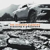 Strange Flowers - Crossing A Wasteland (LP)