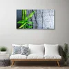 tulup.si Slika na akrilnem steklu Bamboo leaf narava rastlin 120x60 cm 4 obešalnika