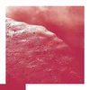 David Allred - The Cell (LP)