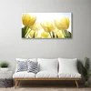 tulup.si Slika na akrilnem steklu Tulipani flowers rays 120x60 cm 2 obešalnika