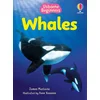 Beginners Whales