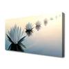 tulup.si Slika na platnu White water lilies waterlily 100x50 cm